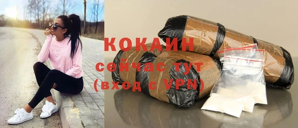 дурь Магас