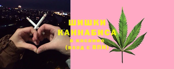 дурь Магас