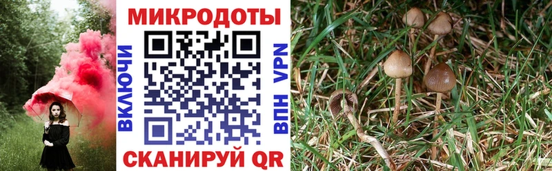 Галлюциногенные грибы Magic Shrooms Сортавала